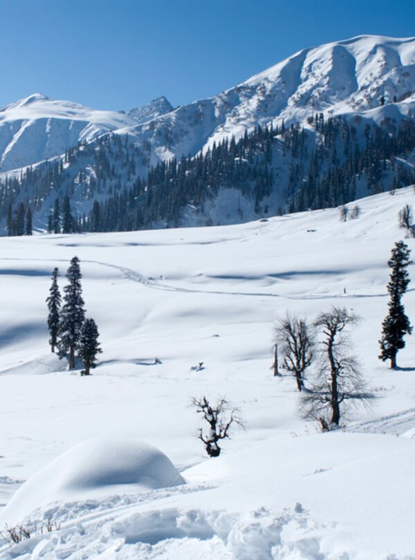 Sonmarg